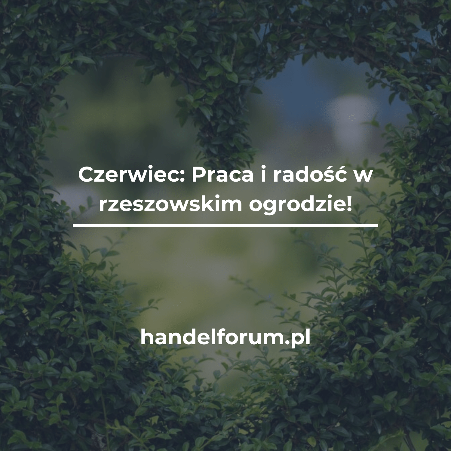 Czerwiec: Praca i radość w rzeszowskim ogrodzie!